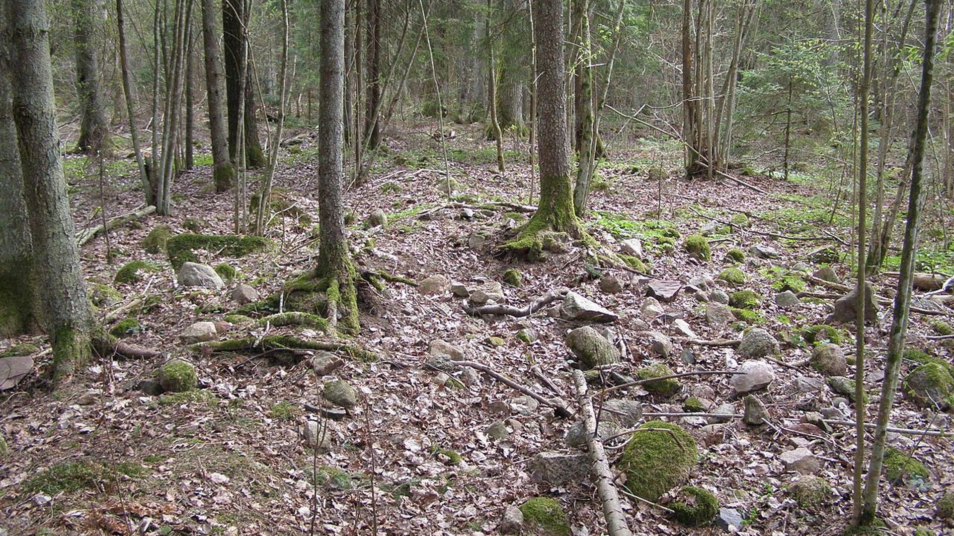 Auksūdis Mound