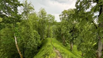 Indija Mound