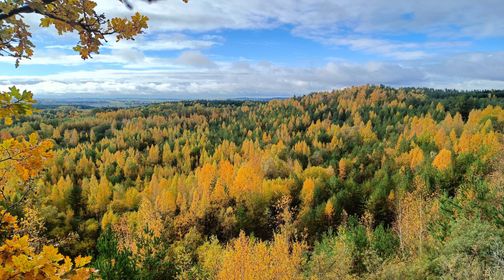 Gabrieliškių karjero atodanga