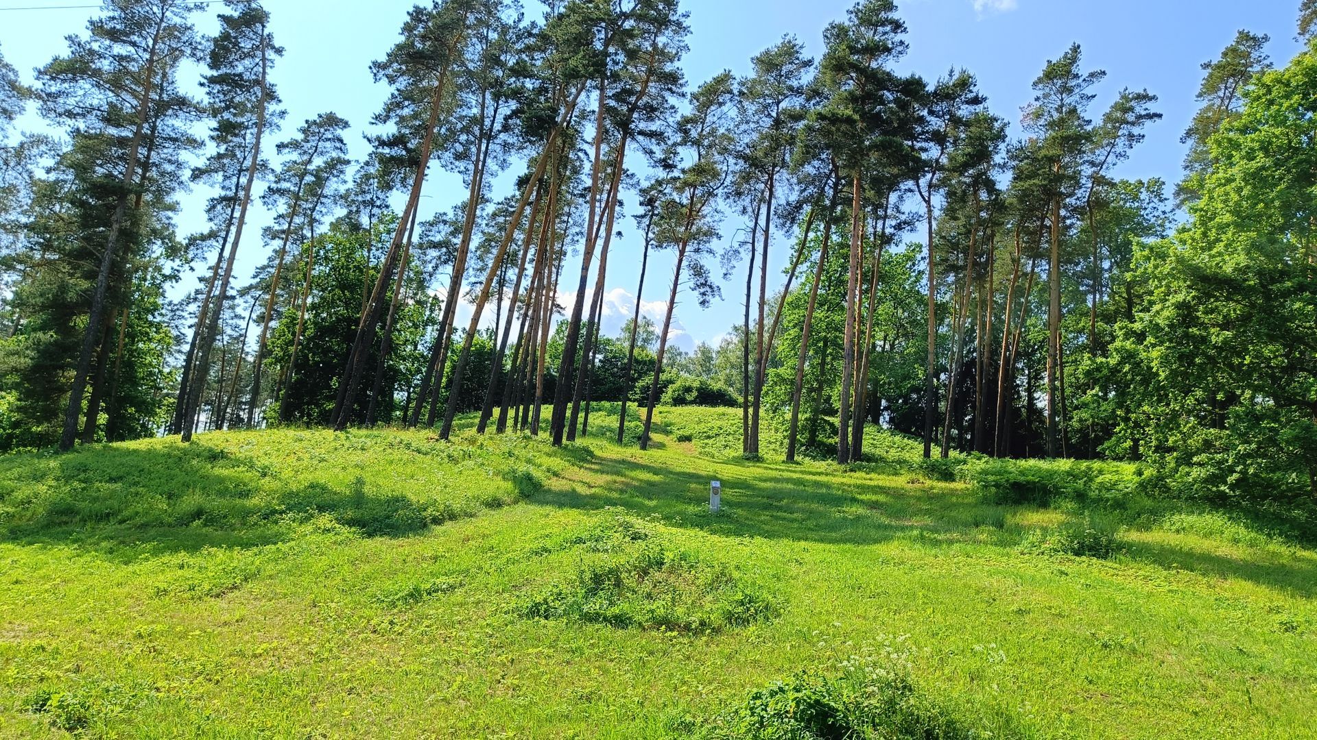 Pivašiūnai Mound