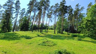Pivašiūnai Mound