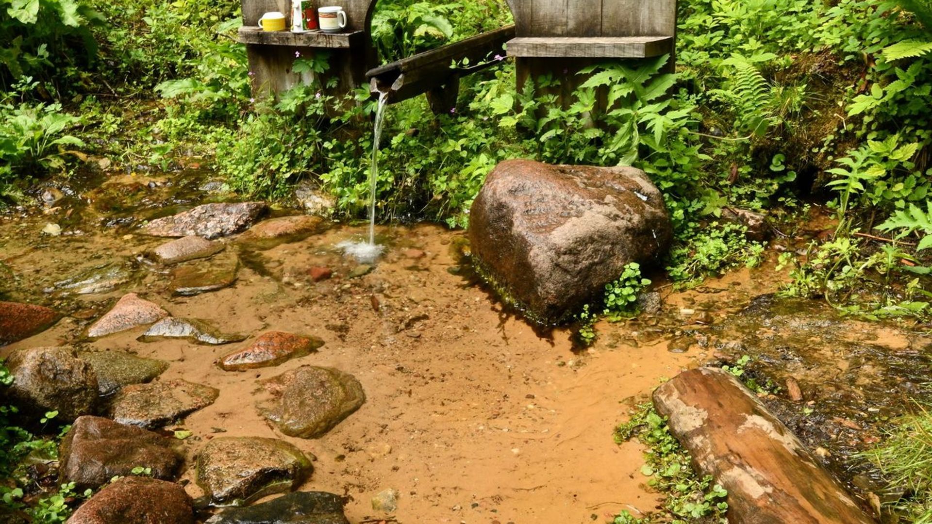 Lopaičiai Spring