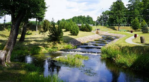 Viešvilė Fish-ladder