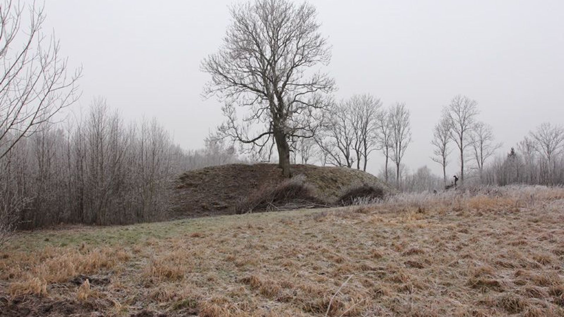 Buivydai Mound