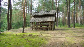 Marcinkonys Pond Rest Place