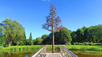 Sculpture Baltic World Tree