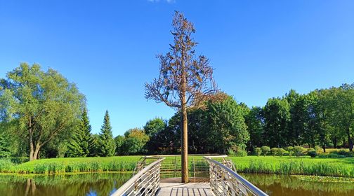 Skulptūra Baltų pasaulio medis