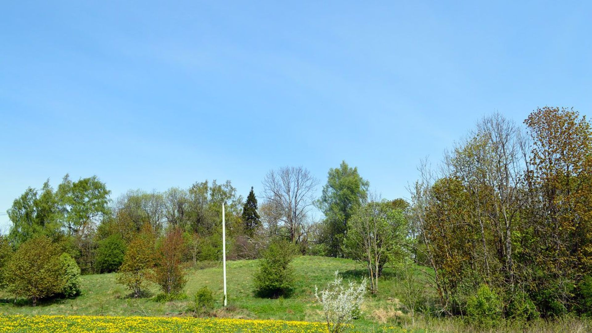 Paspąstis Mound