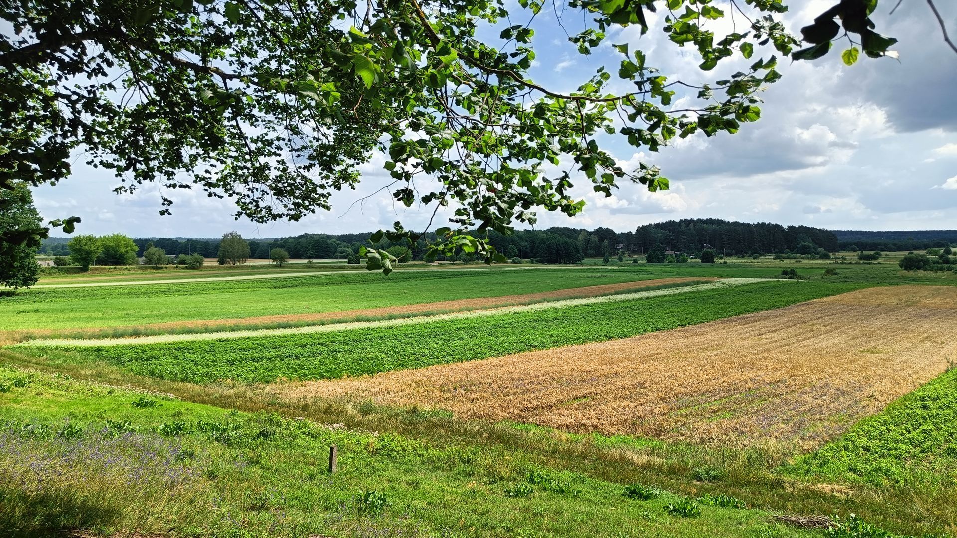 Raigardas Valley