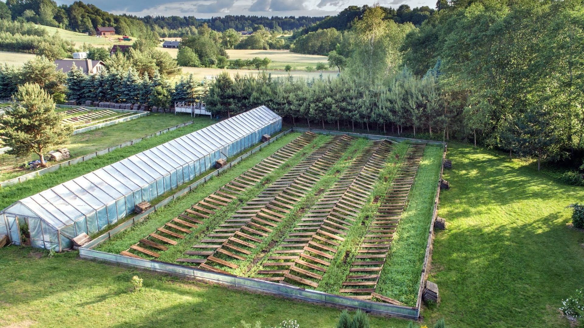 Aspersa Snail Farm