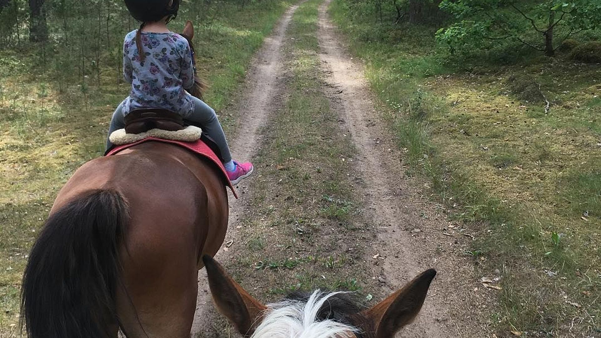 Varėnė Horses