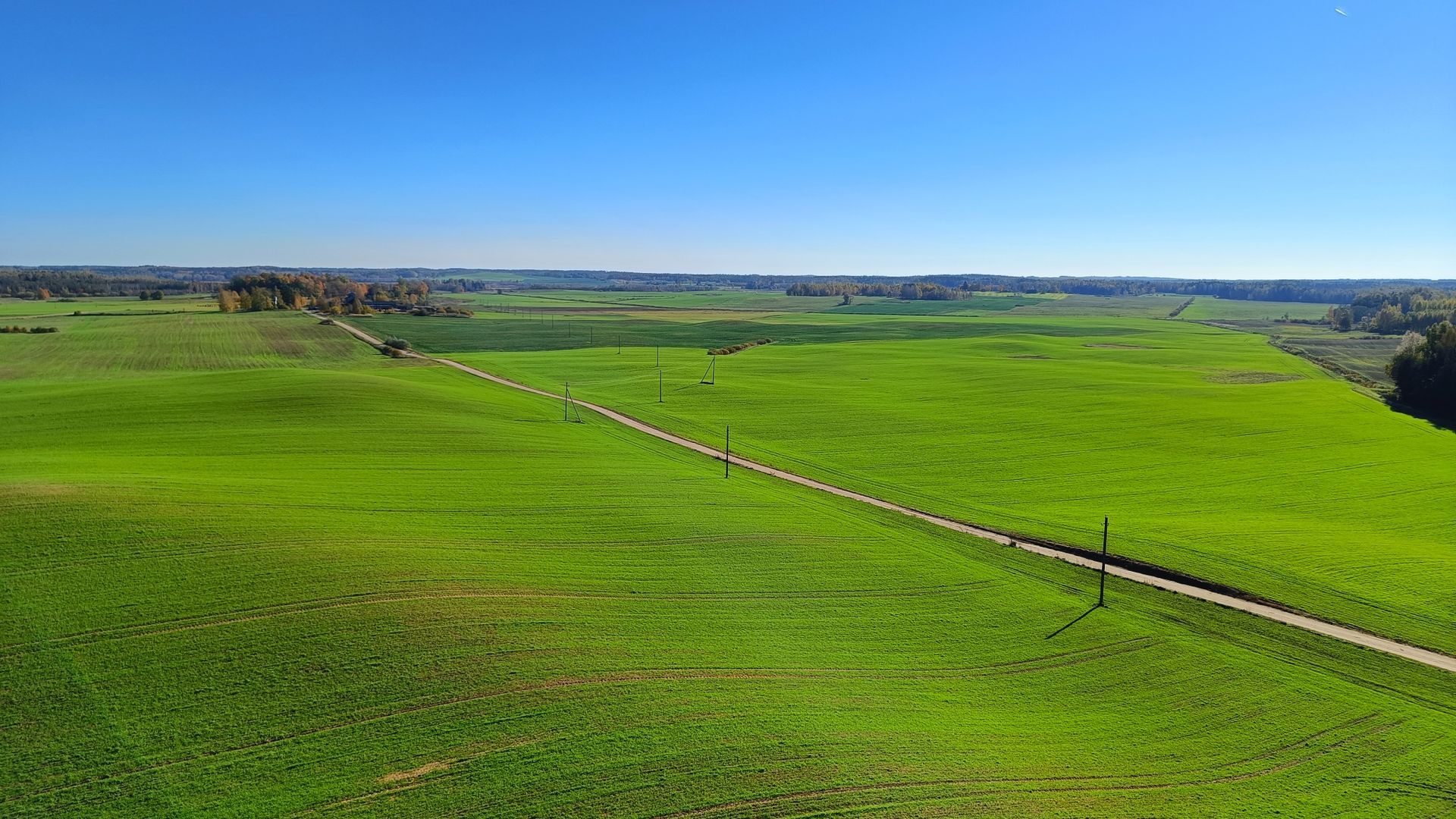 Tytuvėnų apžvalgos bokštas