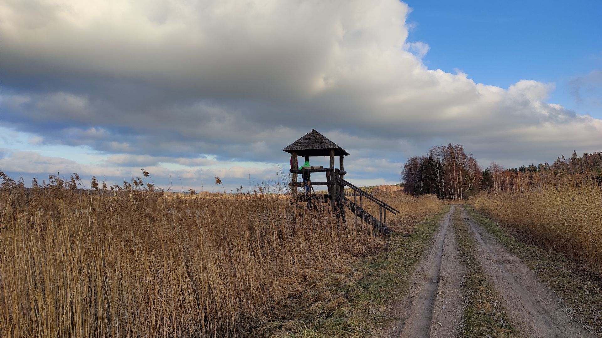 Paukščių stebėjimo bokštelis tarp žuvininkystės tvenkinių