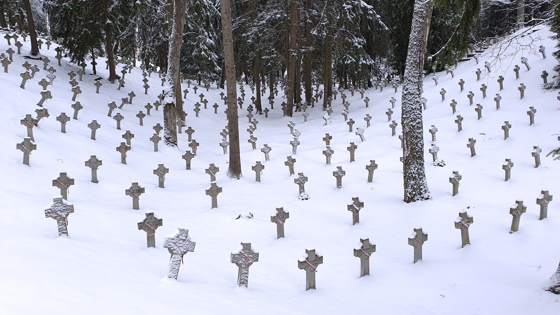 Antakalnis Cemetery