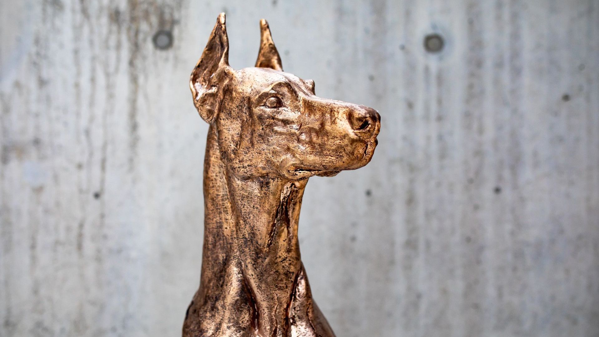 Sculpture Dog