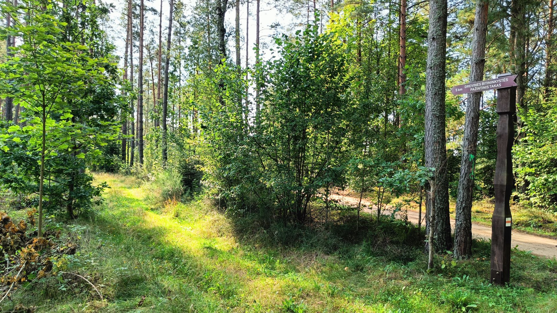 Beekeeping Trail