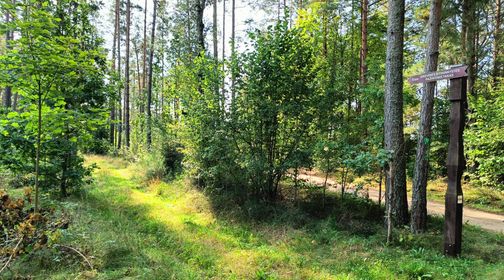 Beekeeping Trail
