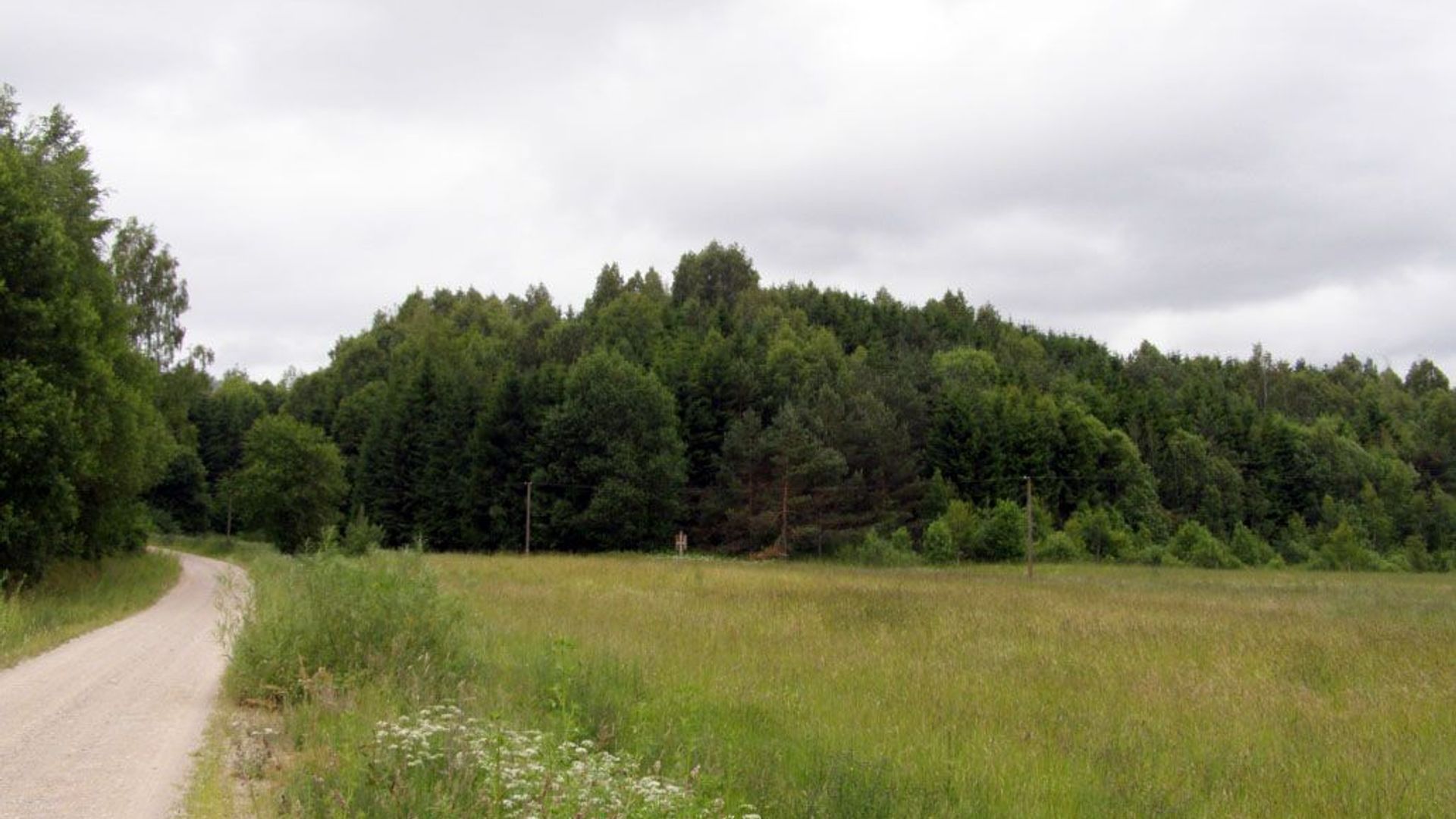 Dauginčių I piliakalnis