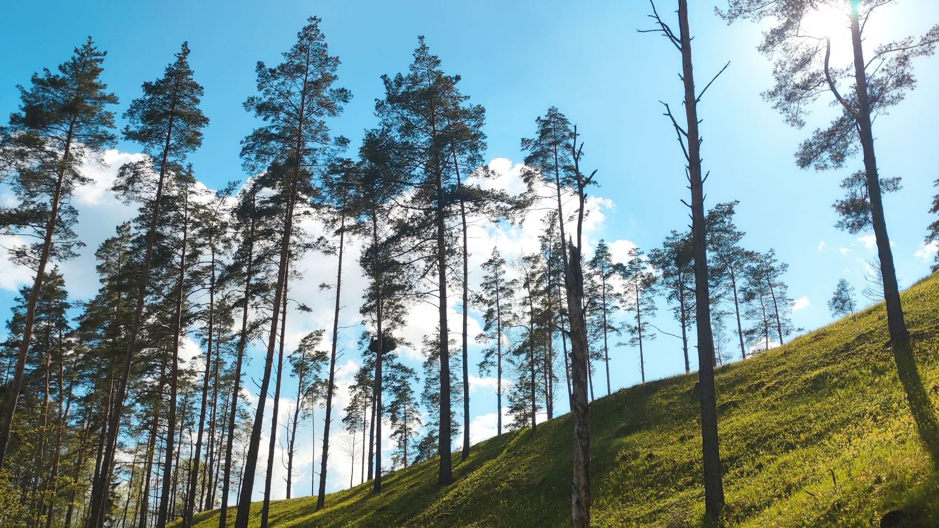 Aplink Sirvėtos regioninį parką