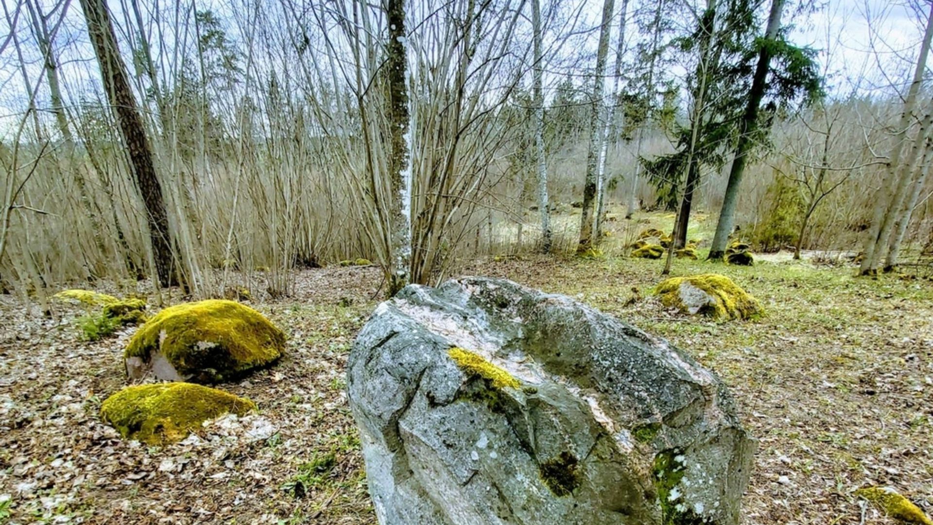 Paunšvystės kalnas