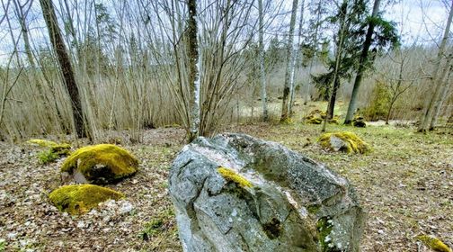 Paunšvystė Hill