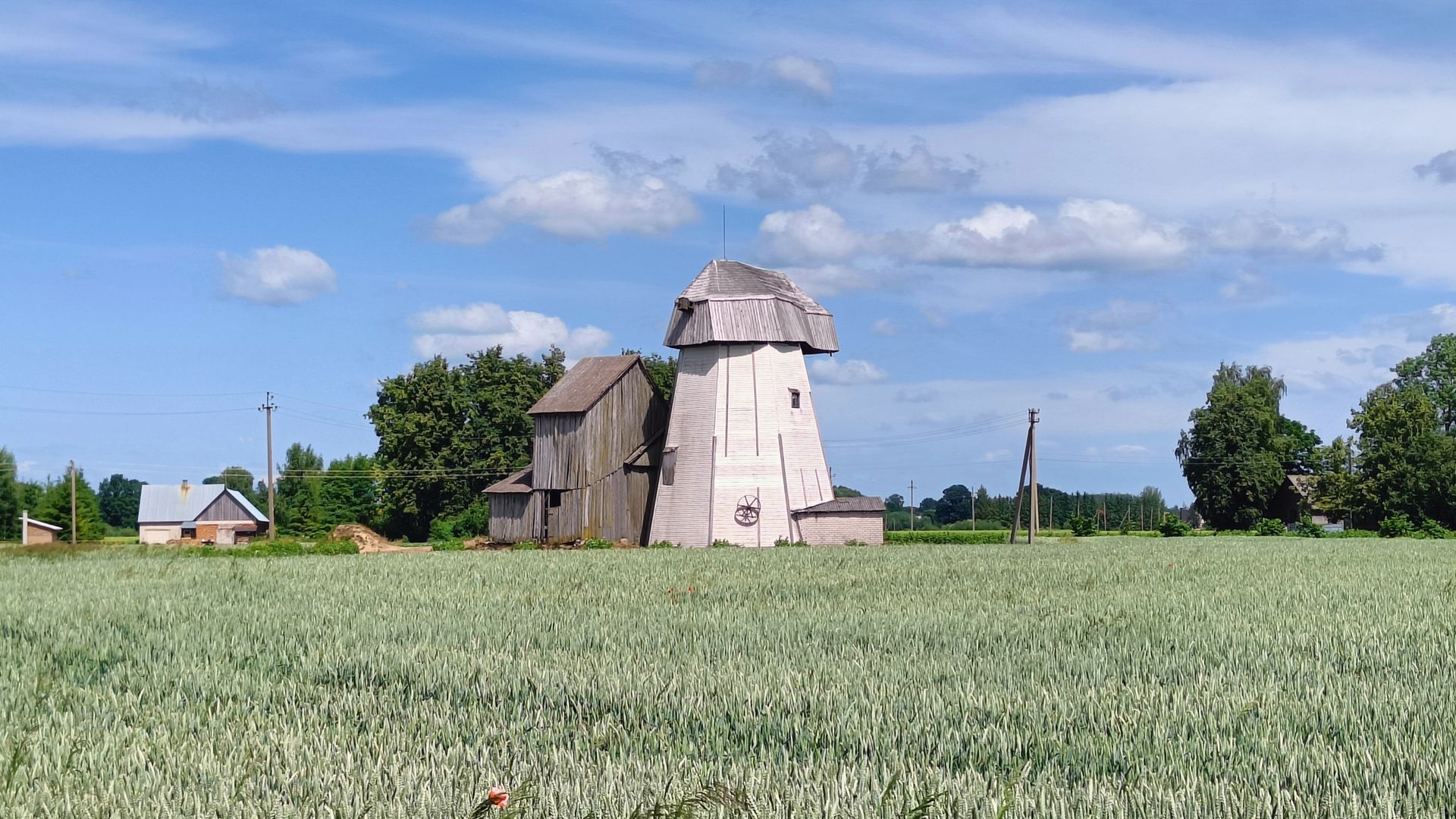 Paluobiai Windmill