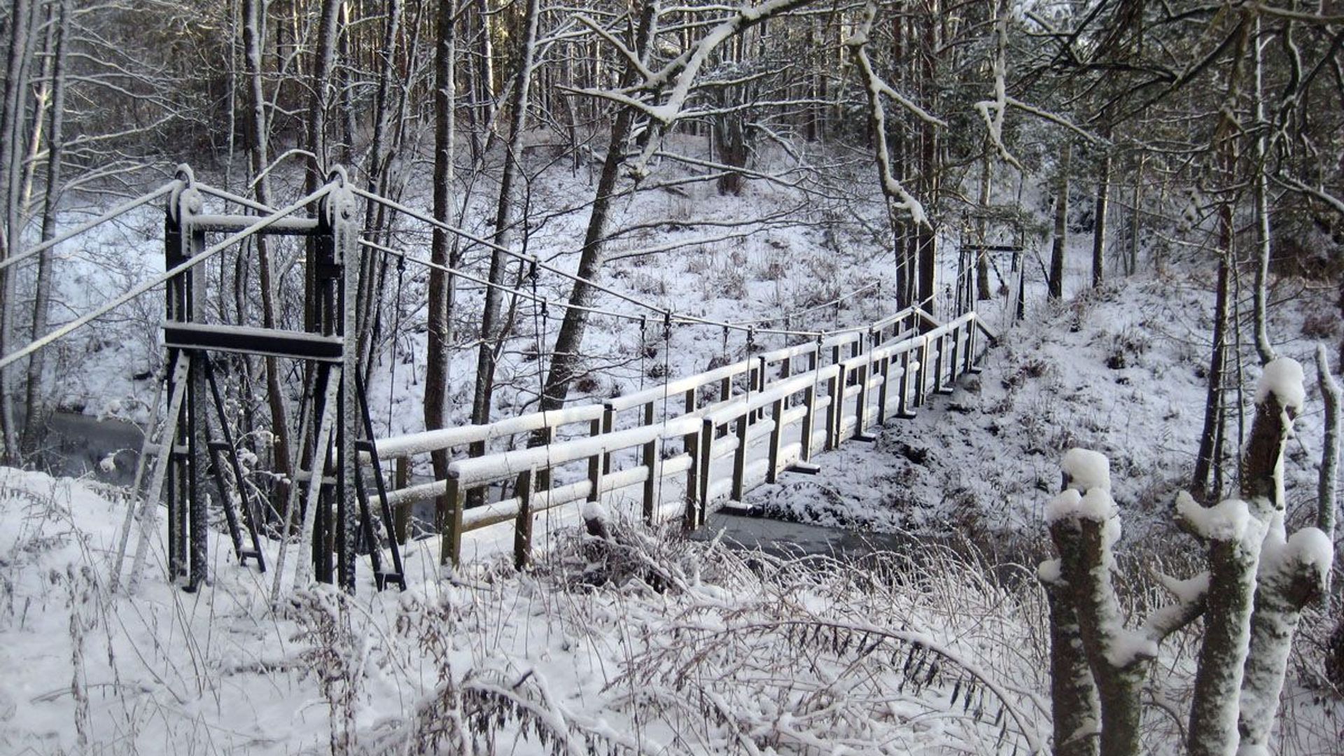 Mineikiškių kabantis tiltas per Nikajų