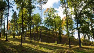 Rokantiškės Mound