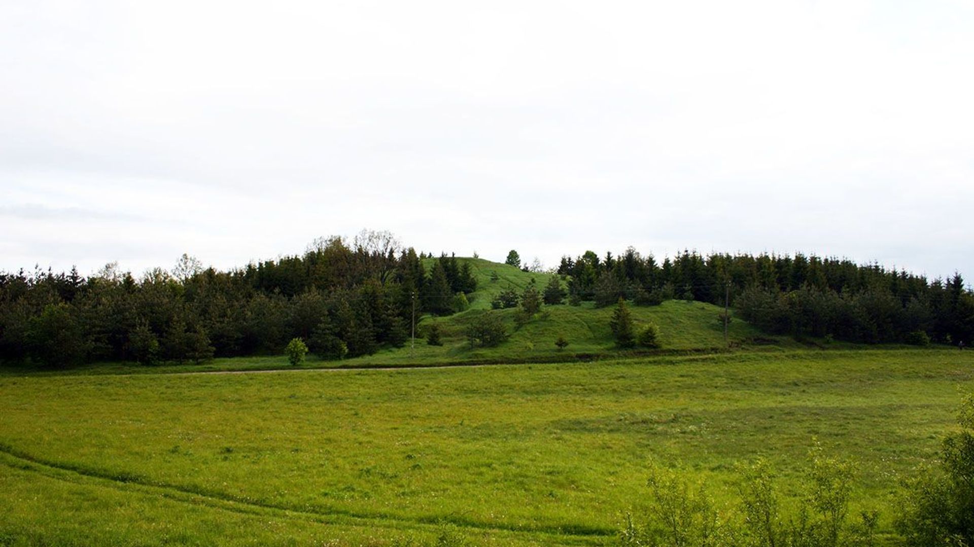 Naujienėlės piliakalnis