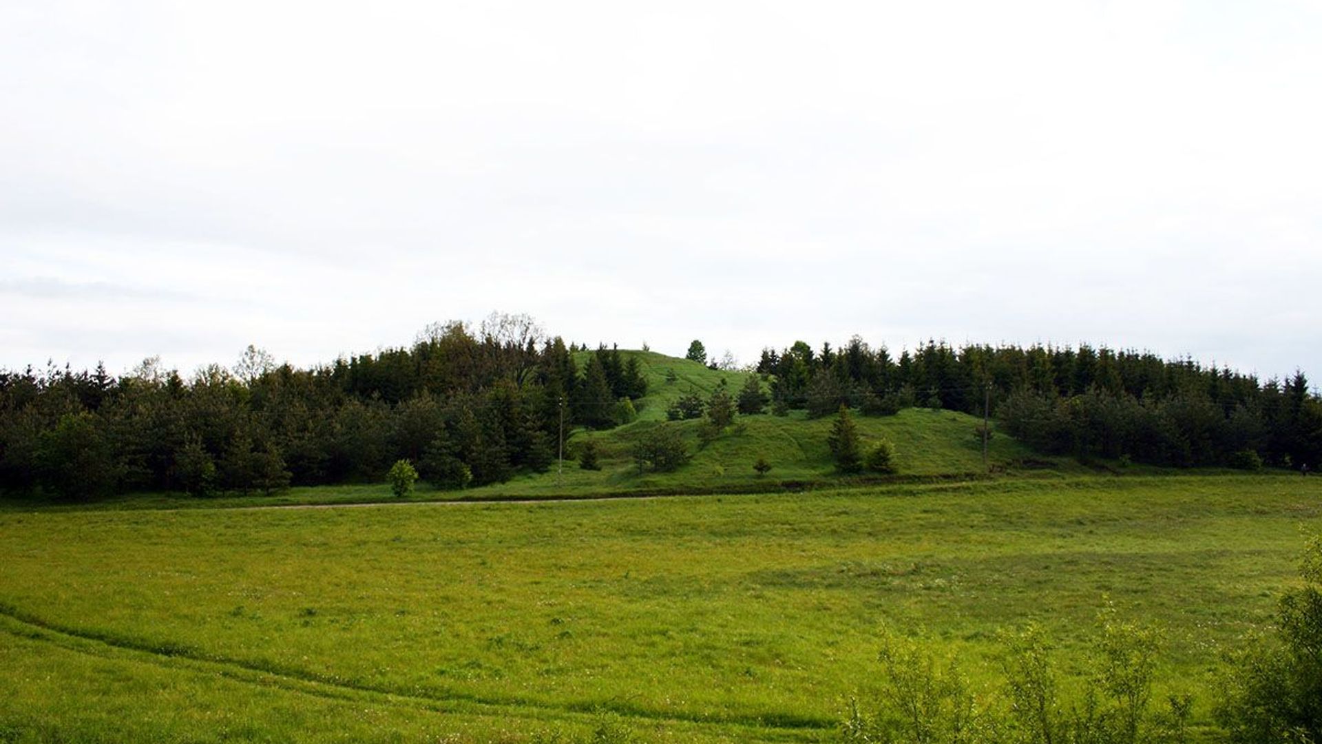 Naujienėlė Mound