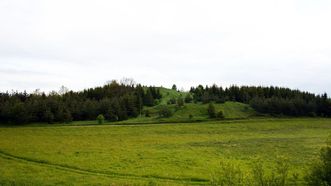 Naujienėlės piliakalnis