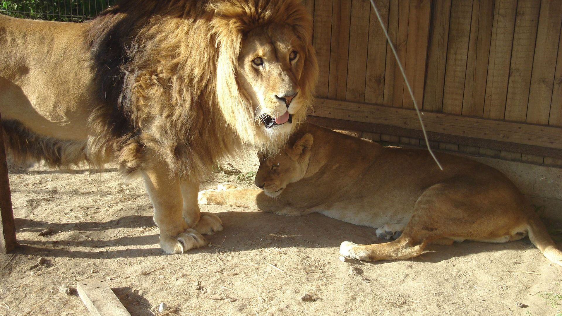 Trakėnai Zoo Park