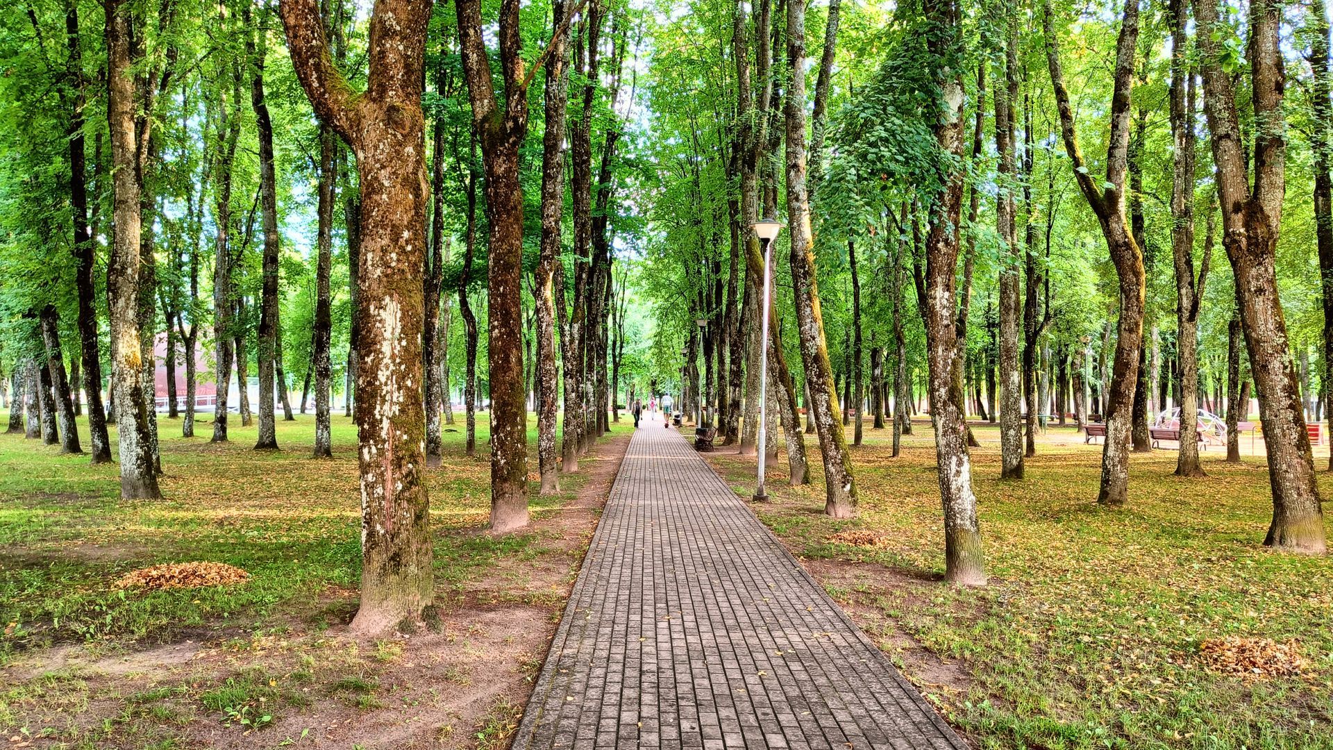 Šalčininkų parkas