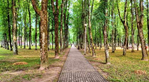 Šalčininkai Park