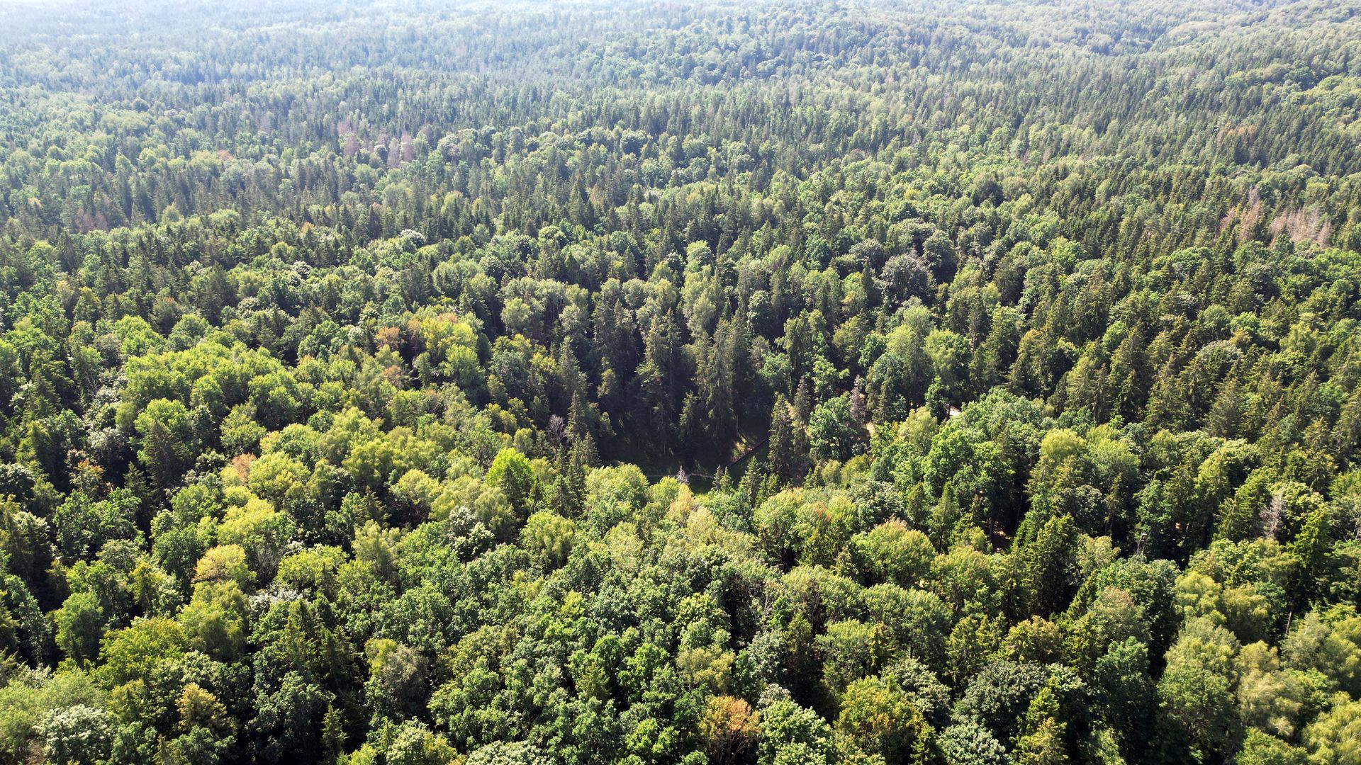 Aukštadvario regioninis parkas