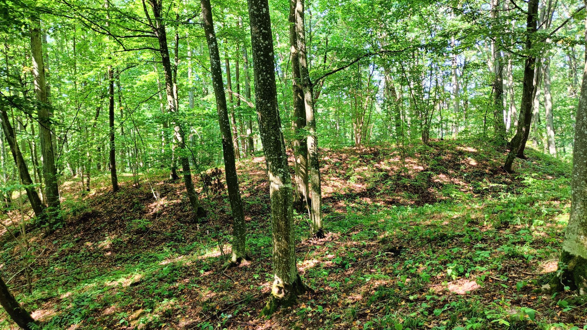 Virbalis Mound