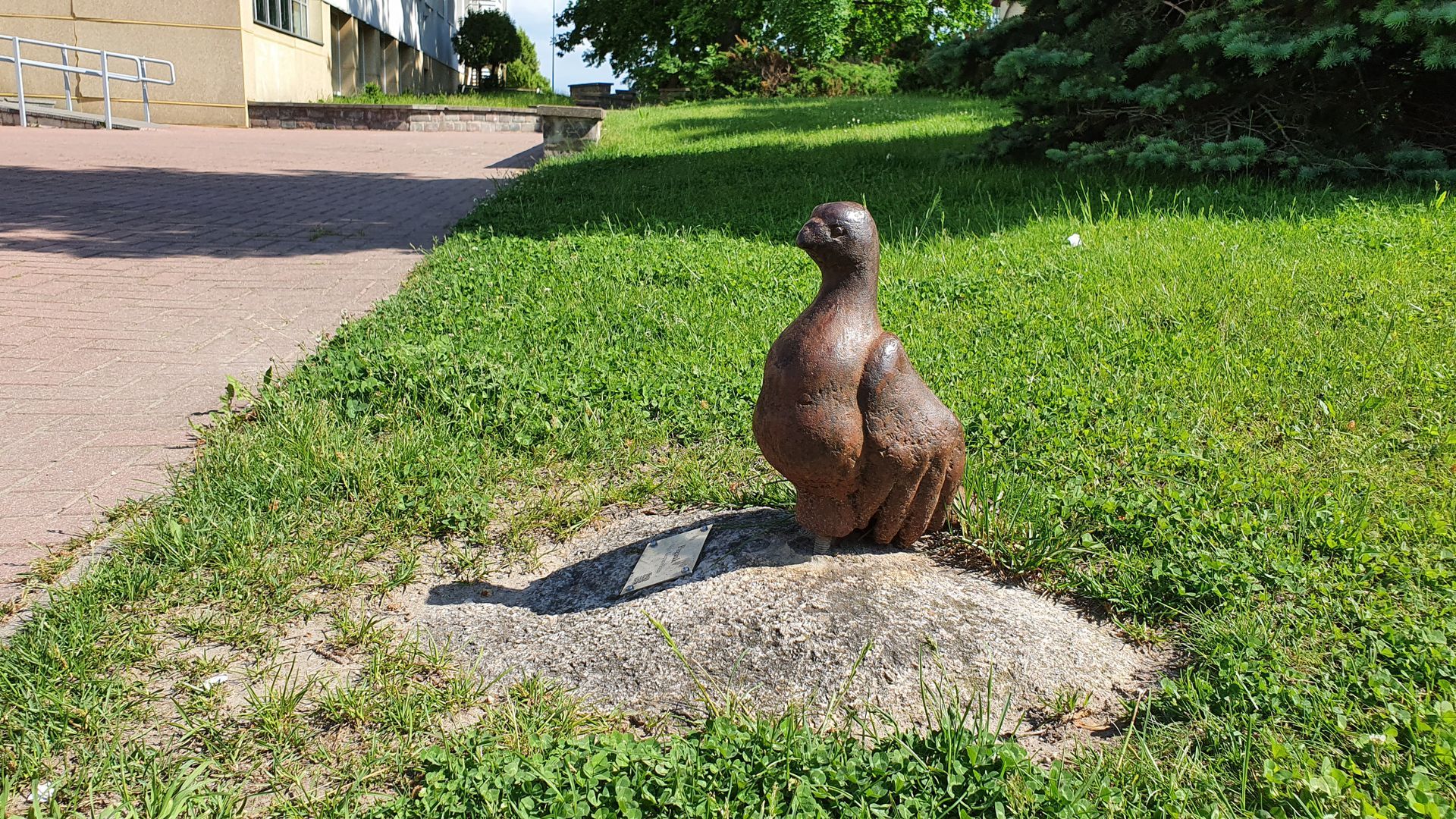 Pigeon Catch Me