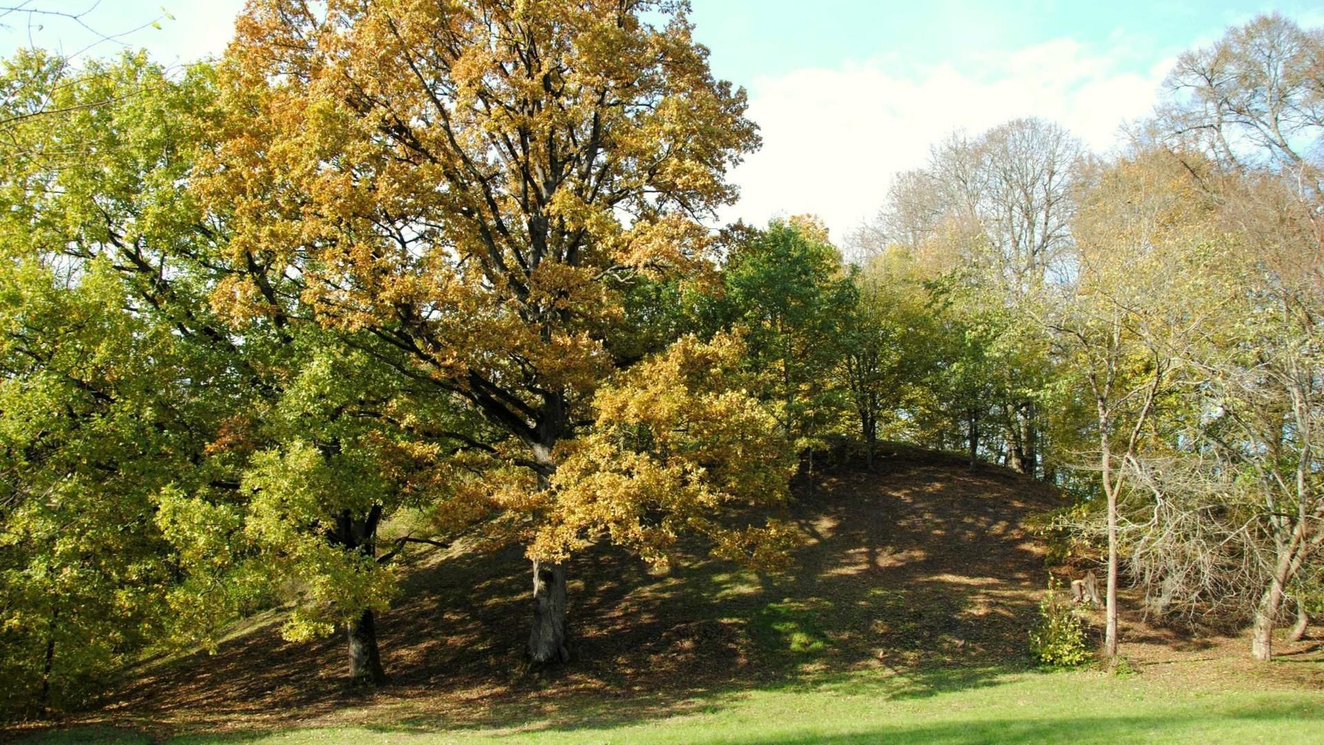 Jaučakiai Mound