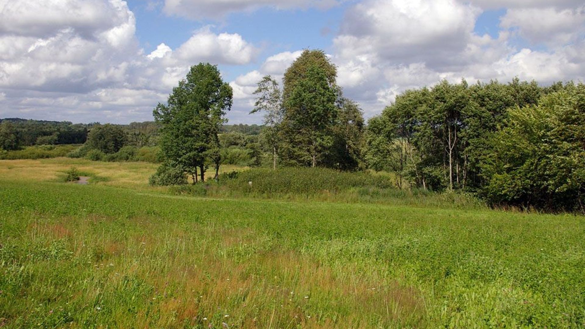 Kivyliai Mound