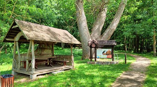 Raudonės pažintinis takas