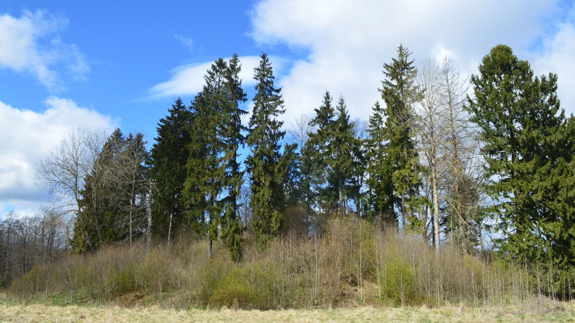 Galiniai Mound