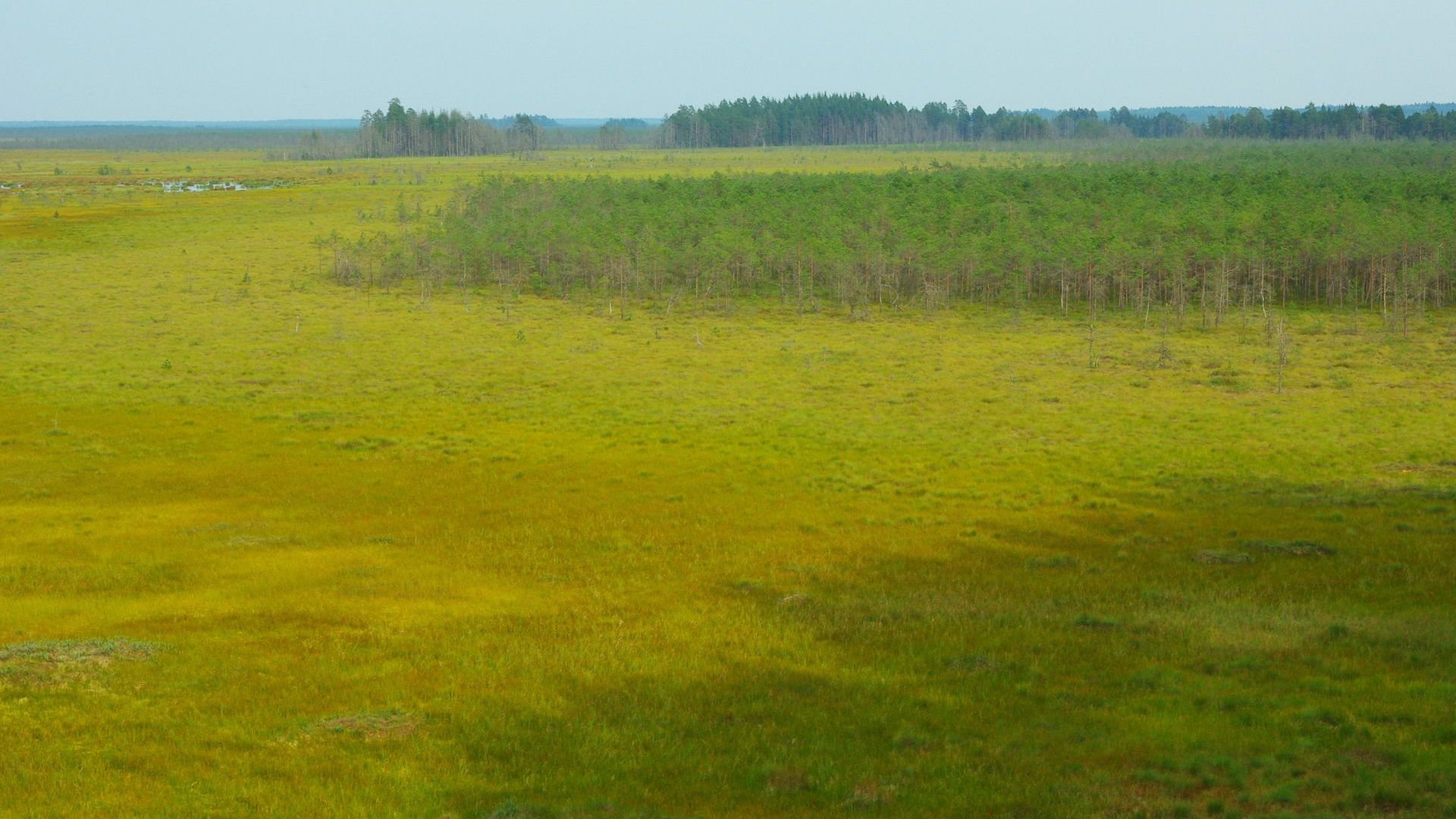 Čepkeliai State Strict Nature Reserve