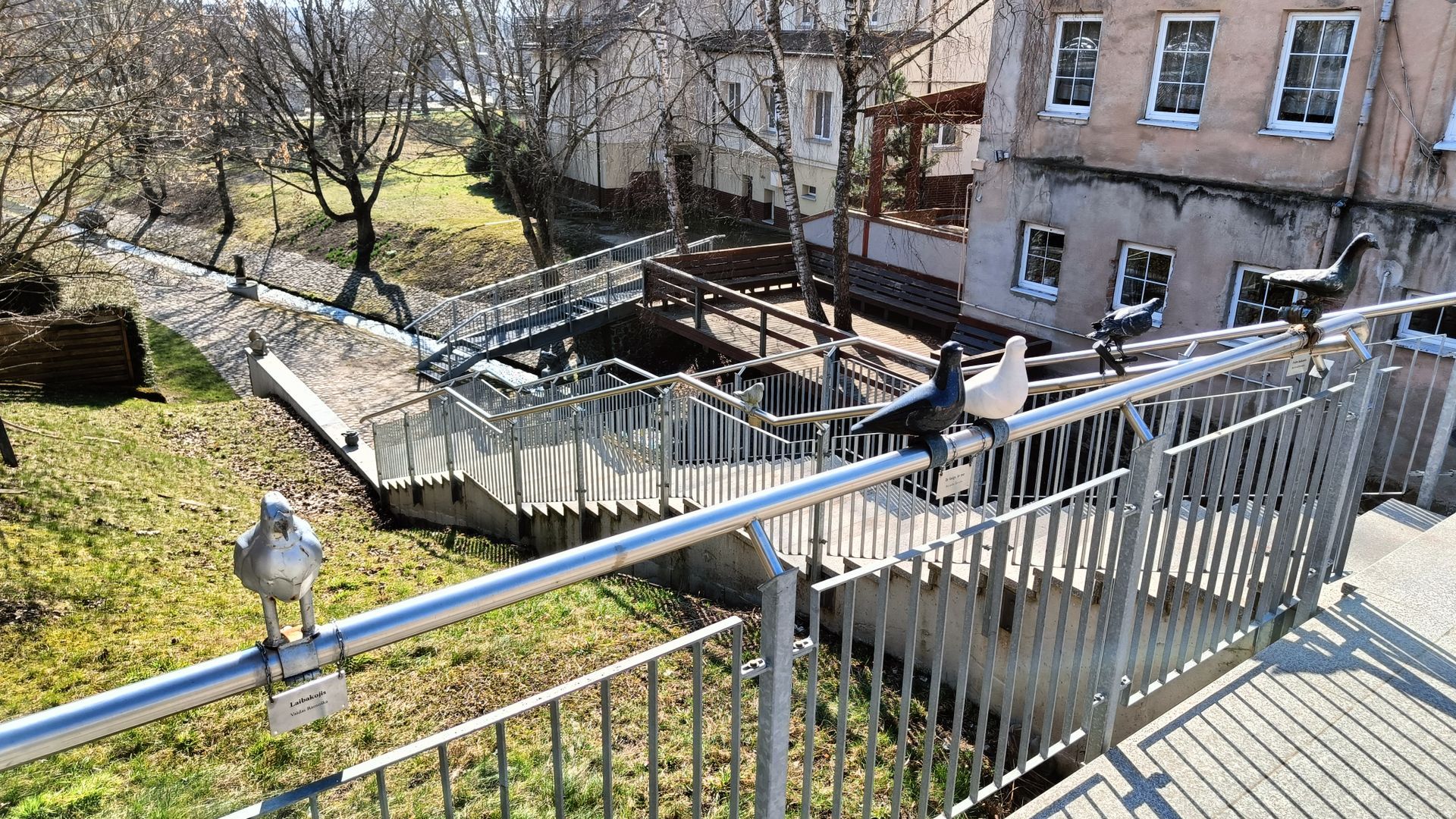 Pigeons Corner