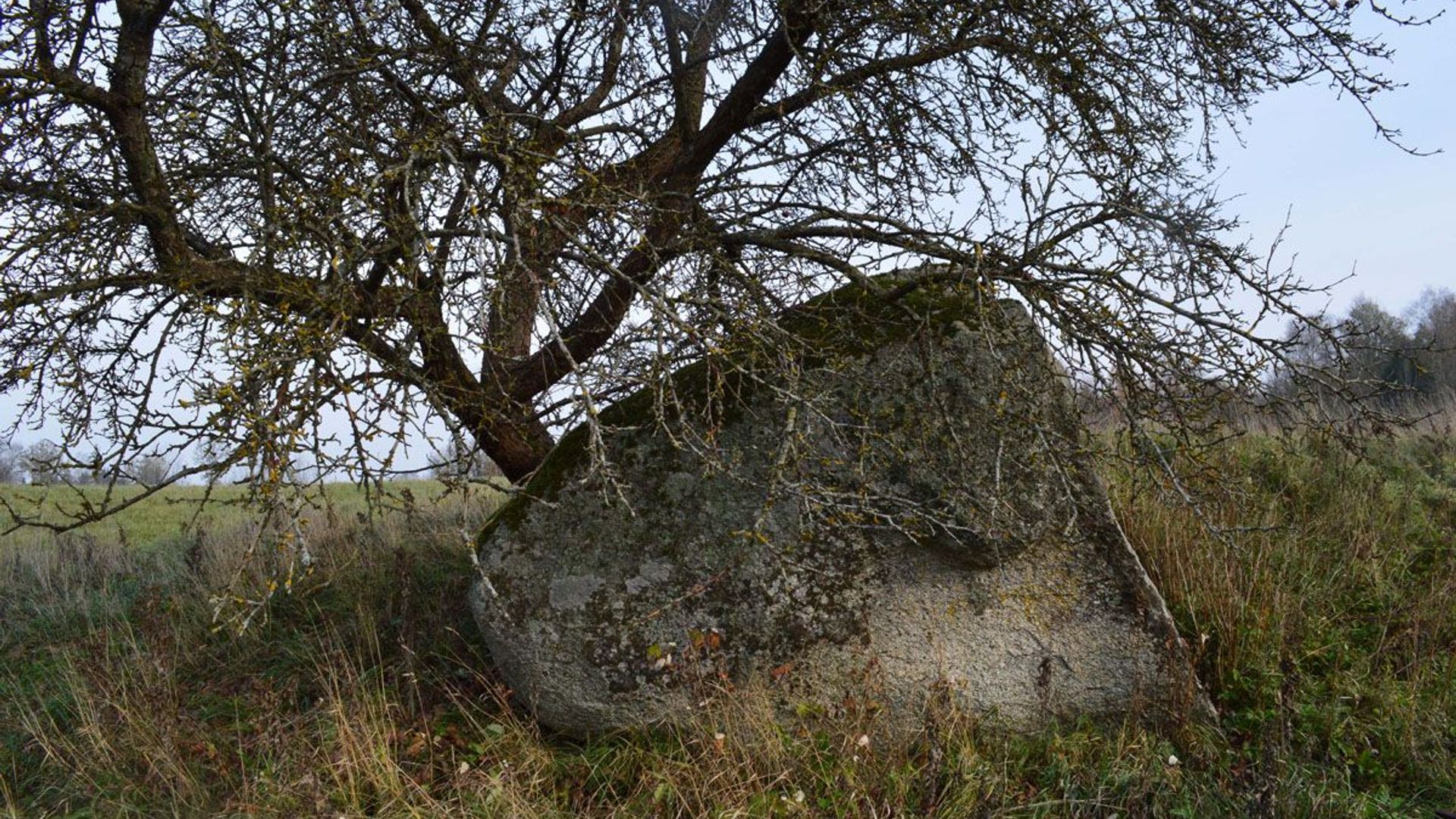 Oreliškė Boulder