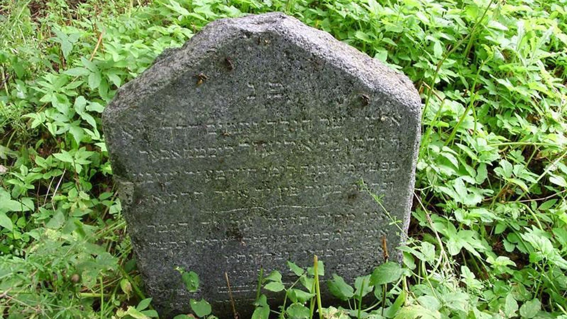 Punios senosios žydų kapinės
