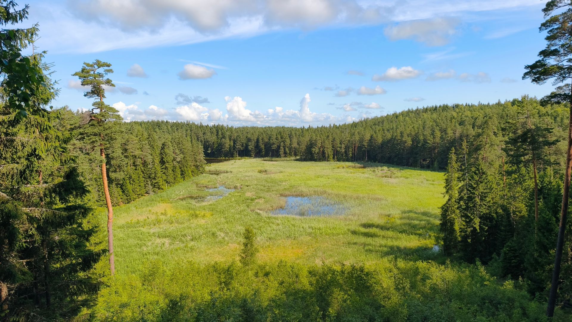 Paplatelės tako apžvalgos bokštelis
