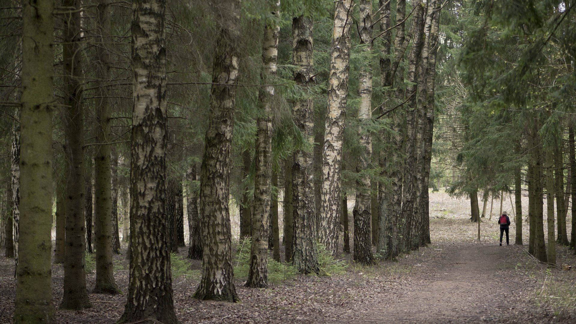 Talkša Ecological Path