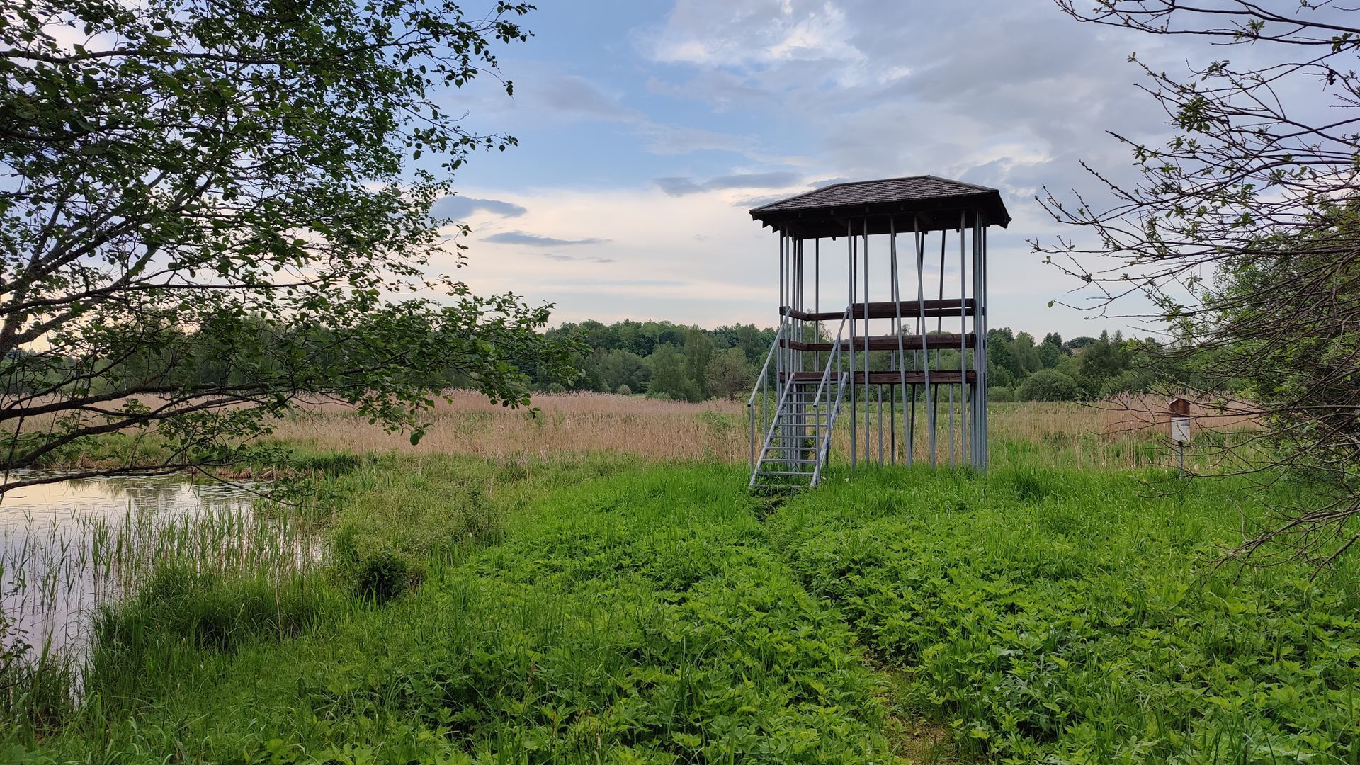 Birds Observation Site