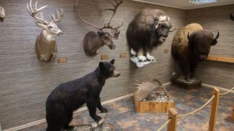 Antano Truskausko medžioklės ir gamtos muziejus