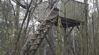 Animals Observation Deck